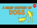 An Animated History of Dogs, Inspired by Keith Haring